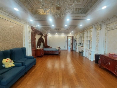 Chính chủ cho thuê căn hộ 2N1K tại phố chùa láng 13463
