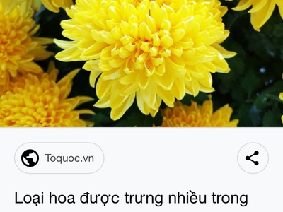 Chính chủ cho thuê căn hộ 2N1K tại phố chùa láng 13214