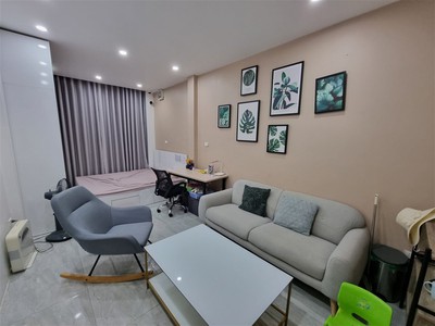 Chính chủ cho thuê căn hộ 2N1K tại phố chùa láng 13764