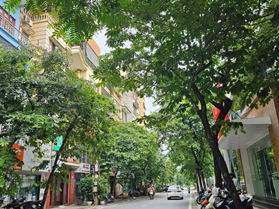 Chính chủ cho thuê căn hộ 2N1K tại phố chùa láng 13544