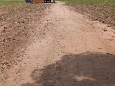Chính chủ cho thuê căn hộ 2N1K tại phố chùa láng 12964