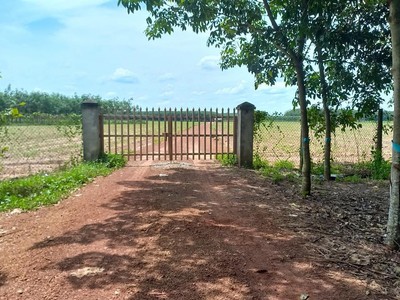 Chính chủ cho thuê căn hộ 2N1K tại phố chùa láng 12968