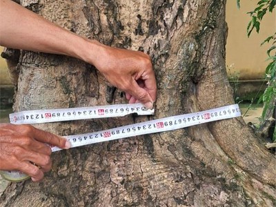 Chính chủ cho thuê căn hộ 2N1K tại phố chùa láng 13025