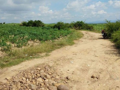 Chính chủ cho thuê căn hộ 2N1K tại phố chùa láng 13014