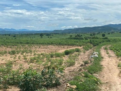 Chính chủ cho thuê căn hộ 2N1K tại phố chùa láng 12972