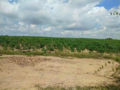 Chính chủ cho thuê căn hộ 2N1K tại phố chùa láng 13012
