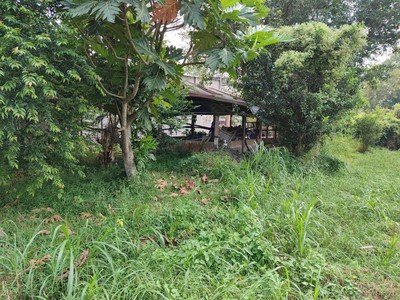 Chính chủ cho thuê căn hộ 2N1K tại phố chùa láng 12935