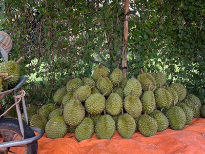 Chính chủ cho thuê căn hộ 2N1K tại phố chùa láng 12965