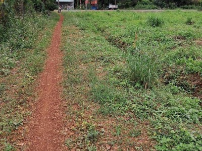 Chính chủ cho thuê căn hộ 2N1K tại phố chùa láng 12926