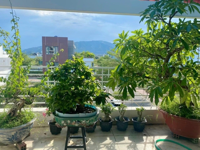 Chủ có việc nên bán nhà 3 tầng 1 tum tâm huyết mặt tiền kđt hà quang 1 vị trí: đường hiện trạng 1