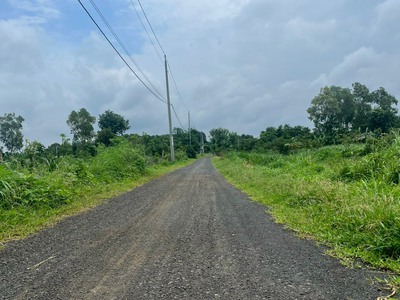 Chính chủ cho thuê căn hộ 2N1K tại phố chùa láng 13935