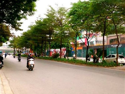 Chính chủ cho thuê căn hộ 2N1K tại phố chùa láng 14481