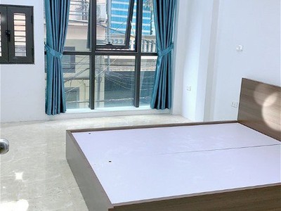 Chính chủ cho thuê căn hộ 2N1K tại phố chùa láng 14937