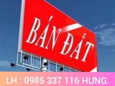 Chính chủ cho thuê căn hộ 2N1K tại phố chùa láng 14785