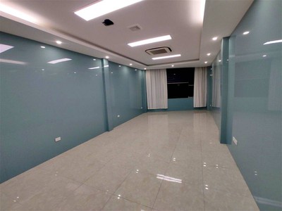 Chính chủ cho thuê căn hộ 2N1K tại phố chùa láng 14594