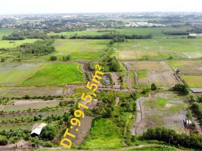Chính chủ cho thuê căn hộ 2N1K tại phố chùa láng 14262