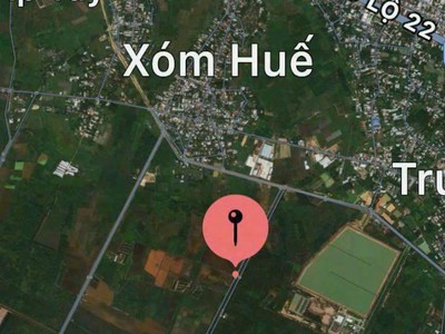 Chính chủ cho thuê căn hộ 2N1K tại phố chùa láng 14266