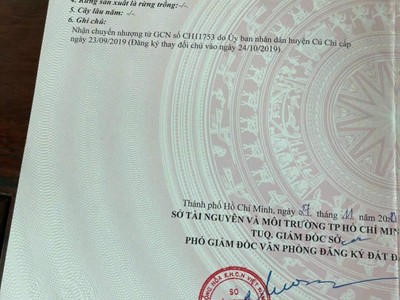Chính chủ cho thuê căn hộ 2N1K tại phố chùa láng 14227