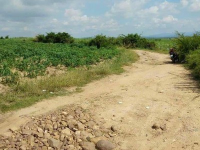 Chính chủ cho thuê căn hộ 2N1K tại phố chùa láng 14273