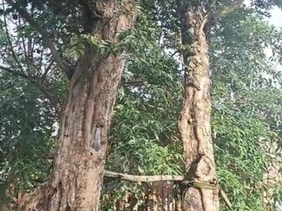 Chính chủ cho thuê căn hộ 2N1K tại phố chùa láng 14280