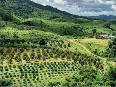 Chính chủ cho thuê căn hộ 2N1K tại phố chùa láng 14288