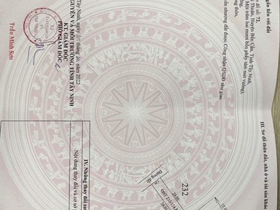 Chính chủ cho thuê căn hộ 2N1K tại phố chùa láng 14237