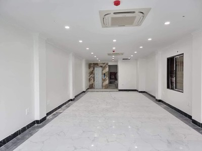 Chính chủ cho thuê căn hộ 2N1K tại phố chùa láng 15661
