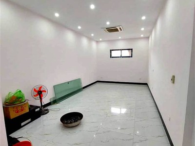 Chính chủ cho thuê căn hộ 2N1K tại phố chùa láng 16131