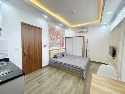 Chính chủ cho thuê căn hộ 2N1K tại phố chùa láng 15734
