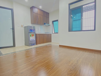 Chính chủ cho thuê căn hộ 2N1K tại phố chùa láng 15579