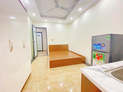 Chính chủ cho thuê căn hộ 2N1K tại phố chùa láng 15578