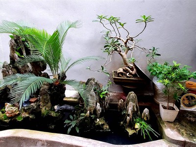 Chính chủ cho thuê căn hộ 2N1K tại phố chùa láng 15452
