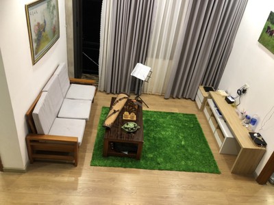 Chính chủ cho thuê căn hộ 2N1K tại phố chùa láng 19