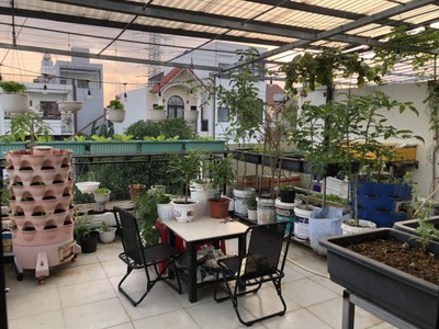 Chính chủ cho thuê căn hộ 2N1K tại phố chùa láng 23