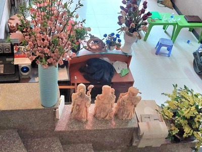 Chính chủ cho thuê căn hộ 2N1K tại phố chùa láng 13