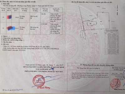 Cô út u80 nhà mình bán lô đất đẹp tại phường phước long b, tp. thủ đức quận 9 cũ - hcm 1