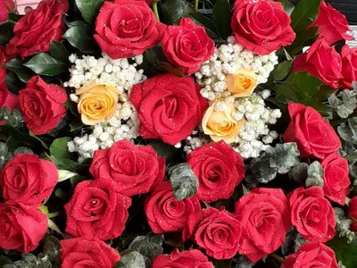 Cô út u80 nhà mình bán lô đất đẹp tại phường phước long b, tp. thủ đức quận 9 cũ - hcm 4