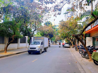 Chính chủ cho thuê căn hộ 2N1K tại phố chùa láng 1357