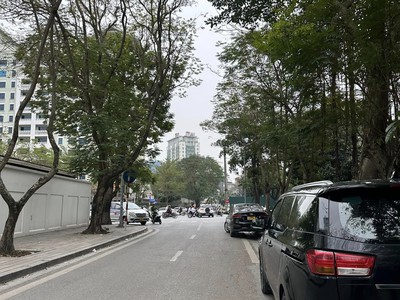 Chính chủ cho thuê căn hộ 2N1K tại phố chùa láng 1247