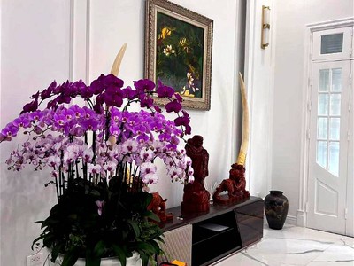 Chính chủ cho thuê căn hộ 2N1K tại phố chùa láng 1100