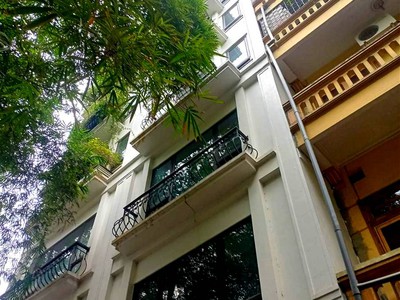 Chính chủ cho thuê căn hộ 2N1K tại phố chùa láng 528