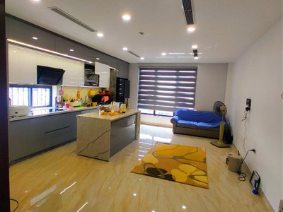 Chính chủ cho thuê căn hộ 2N1K tại phố chùa láng 529