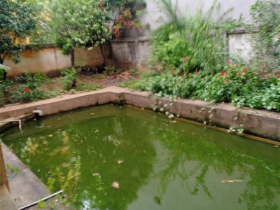 Chính chủ cho thuê căn hộ 2N1K tại phố chùa láng 129