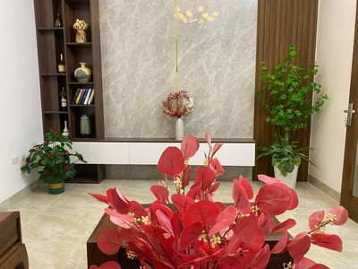 -E có 1 căn nhà mặt phố 4 tầng đẹp sang xịn mịn cần tìm chủ nhân mới 3