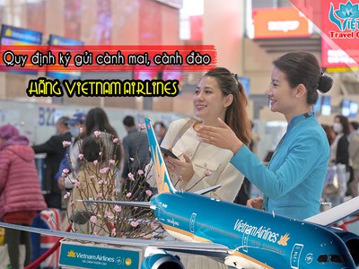 Hãng Vietnam Airline đưa ra những quy định vận chuyển mai đào dịp Xuân Giáp Thìn 0