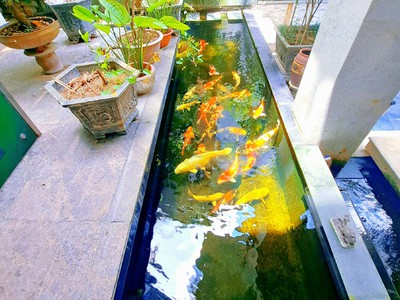 Chính chủ cho thuê căn hộ 2N1K tại phố chùa láng điện nước giá dân 304