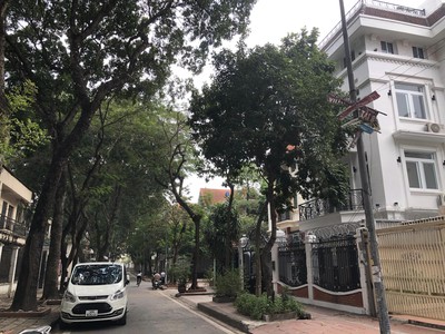 Chính chủ cho thuê căn hộ 2N1K tại phố chùa láng điện nước giá dân 201