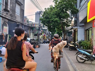 Chính chủ cho thuê căn hộ 2N1K tại phố chùa láng 2119