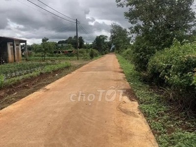 Chính chủ cho thuê căn hộ 2N1K tại phố chùa láng 2334
