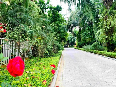 Biệt thự song lập Palm Garden Việt Hưng Cạnh Trường Marie Curie 210m2 4